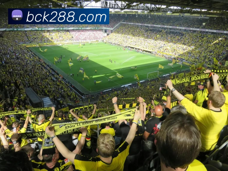 多媒体互动体验